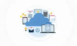 How Does Tally on Cloud Improve Multi-Branch Accounting Visibility and Reduce Manual Errors?